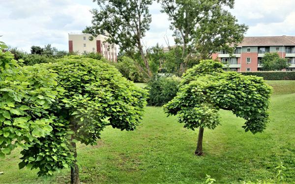 Appartement à louer    1 pièce • 28,46 m2 Toulouse