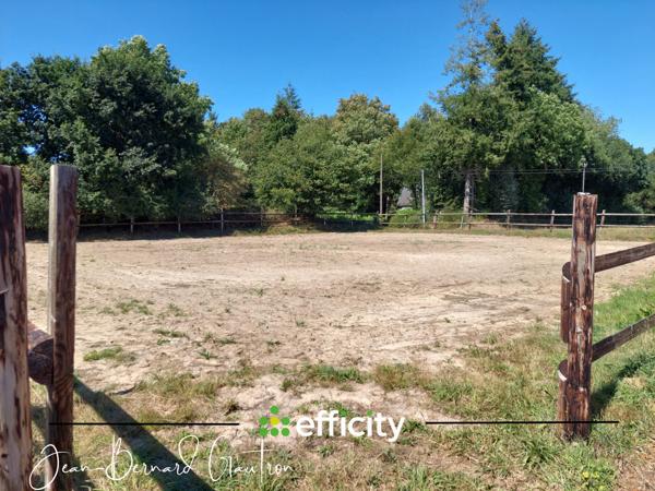 Maison 3 pièces - 99 m² Exclusivité efficity