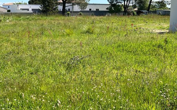 Terrain à vendre    Arvert