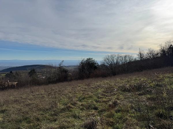 Terrain à vendre proche de MACON (71)