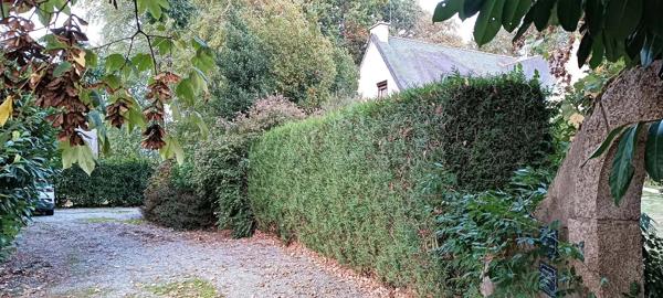 Immobilier Pontivy (56300) – Maison 170m2 – 298 000 €