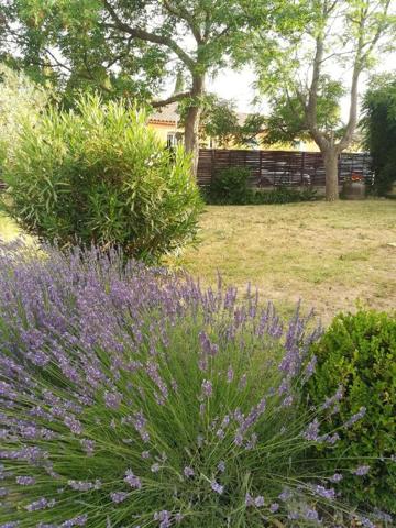 Vaison-la-Romaine (84110) A 1,5 kms du CENTRE VILLE-MAISON DE PLAIN-PIED-3 CHAMBRES-PISCINE-520 m2 DE TERRAIN