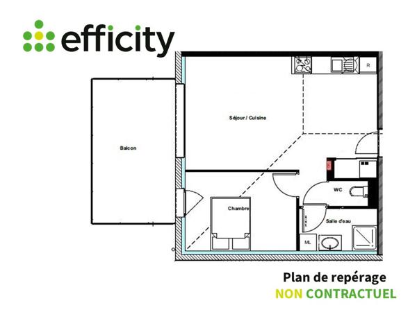 Appartement 2 pièces - 46 m² Exclusivité efficity
