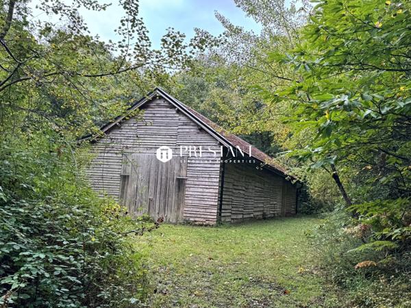 Manoir 17e sur plus de 10 hectares proche de Sarlat – Dordogne, SARLAT LA CANEDA
