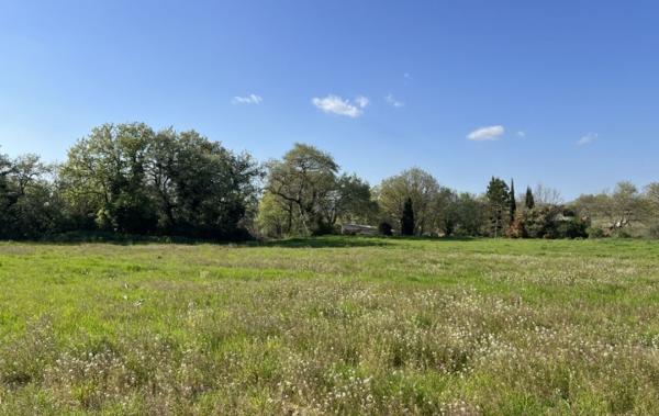 Vente Terrain Viabilisé Blauzac   