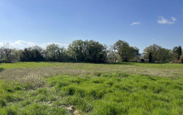 Vente Terrain Viabilisé Blauzac   