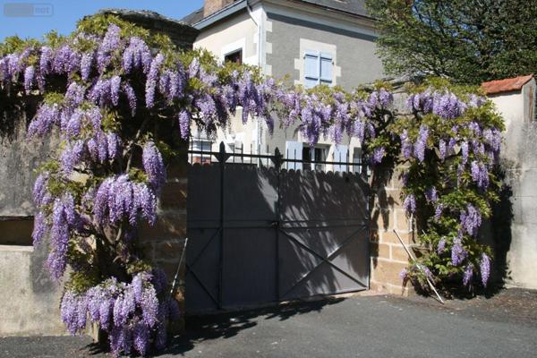 Maison à vendre à Buzançais dans l'Indre (36500), ref : 1047175