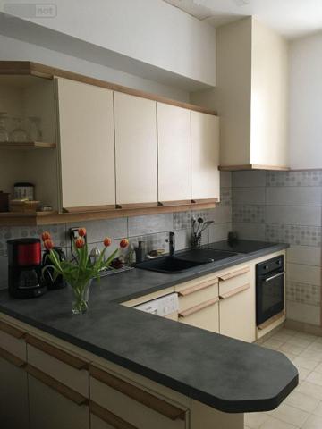 Maison à vendre à Buzançais dans l'Indre (36500), ref : 1047175