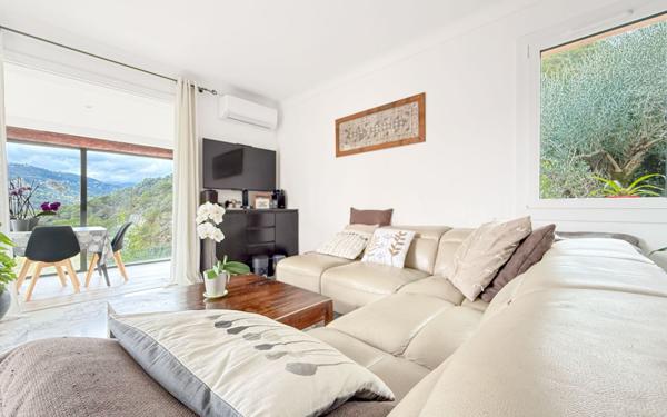 Maison à vendre    4 pièces •  Blausasc