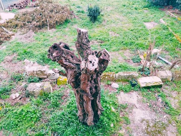 Terrain à vendre MONTPELLIER (34)