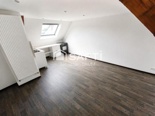 À vendre Mulhouse – Grande maison familiale avec jardin, garages et potentiel de division en 3 logements