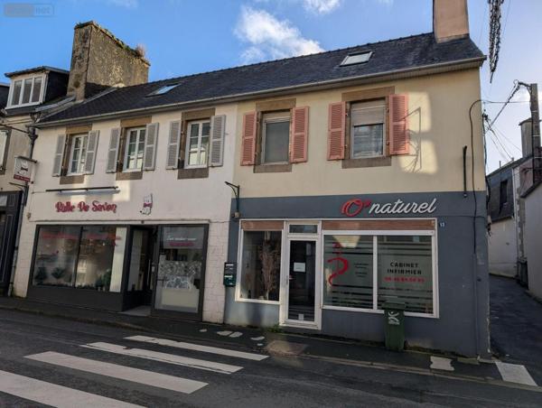 Local mixte (Pro/Hab) à vendre à Landivisiau dans le Finistère (29400), ref : 4125
