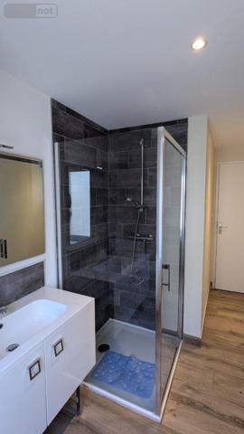 Local mixte (Pro/Hab) à vendre à Landivisiau dans le Finistère (29400), ref : 4125