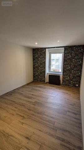 Local mixte (Pro/Hab) à vendre à Landivisiau dans le Finistère (29400), ref : 4125