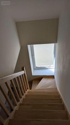 Local mixte (Pro/Hab) à vendre à Landivisiau dans le Finistère (29400), ref : 4125