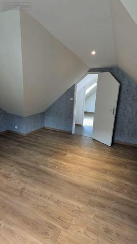 Local mixte (Pro/Hab) à vendre à Landivisiau dans le Finistère (29400), ref : 4125