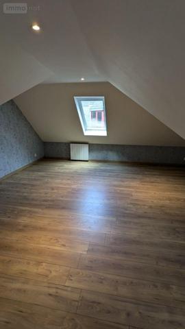 Local mixte (Pro/Hab) à vendre à Landivisiau dans le Finistère (29400), ref : 4125