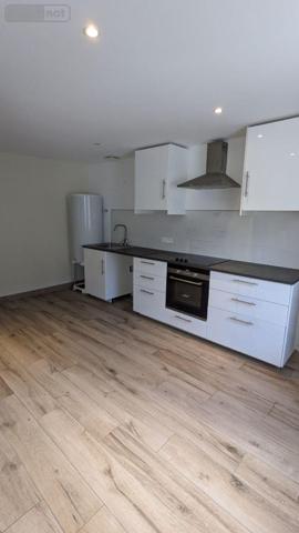 Local mixte (Pro/Hab) à vendre à Landivisiau dans le Finistère (29400), ref : 4125