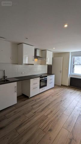 Local mixte (Pro/Hab) à vendre à Landivisiau dans le Finistère (29400), ref : 4125