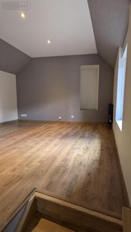 Local mixte (Pro/Hab) à vendre à Landivisiau dans le Finistère (29400), ref : 4125