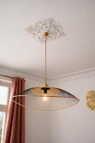 Appartement bourgeois meublé, situé dans une copropriété gérée par un syndic bénévole.