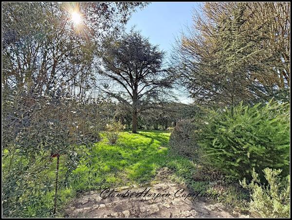 Maison à vendre 8 pièces (79) CHATILLON-SUR-THOUET - 219 m² hab 4 à 6 ch - terrain environ 2500 m²