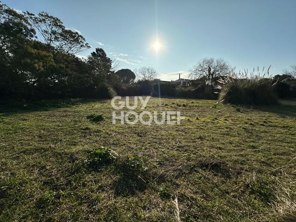 Terrain d'exception à vendre aux Portes-en-Ré