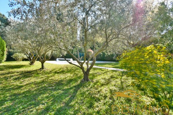 Maison familiale 168 m² avec piscine et grand jardin, à pied du centre de Châteauneuf-de-Gadagne