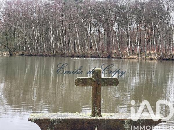 Maison à vendre 10 pièces 280 m² Chaumont-sur-Tharonne