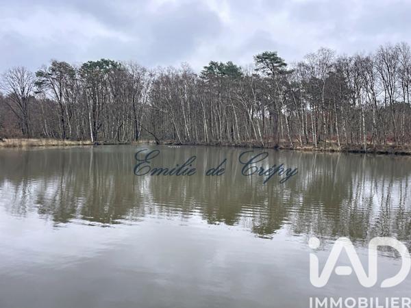 Maison à vendre 10 pièces 280 m² Chaumont-sur-Tharonne