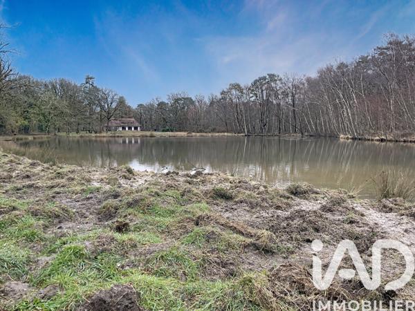 Maison à vendre 10 pièces 280 m² Chaumont-sur-Tharonne