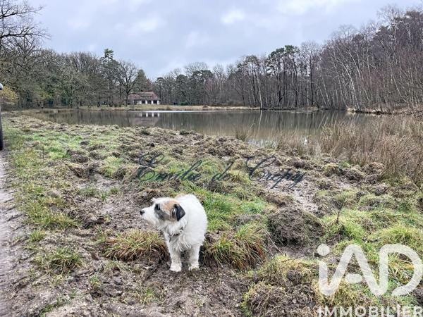 Maison à vendre 10 pièces 280 m² Chaumont-sur-Tharonne