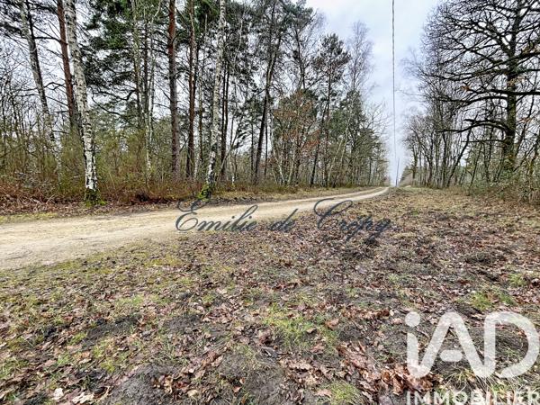 Maison à vendre 10 pièces 280 m² Chaumont-sur-Tharonne