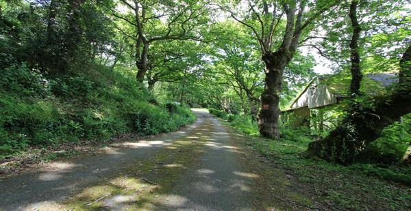 A vendre, une propriété avec hectares sur QUIMPER.