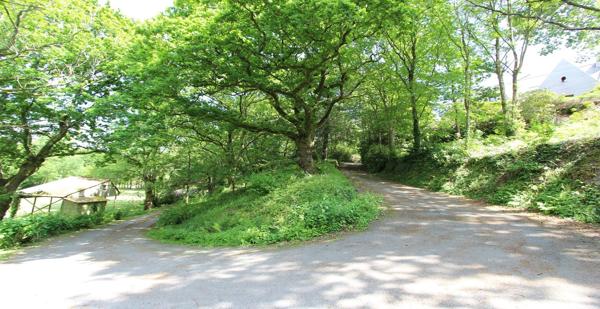A vendre, une propriété avec hectares sur QUIMPER.