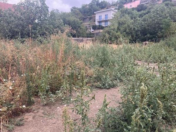 Vente / Terrain constructible à Foix (09000)