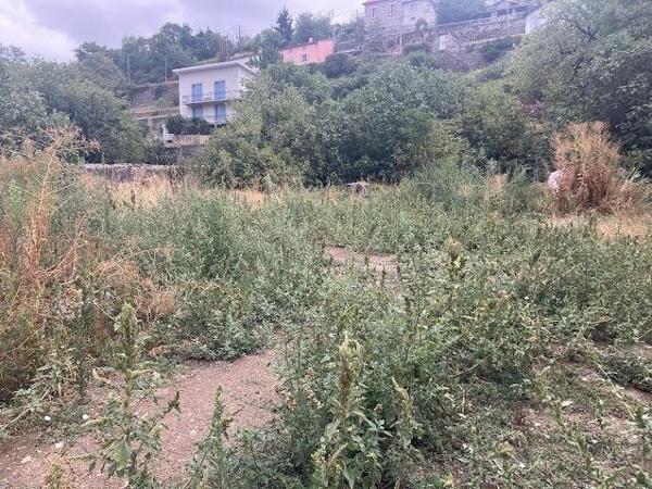 Vente / Terrain constructible à Foix (09000)