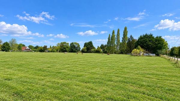 Vente                                                      Terrain
                        
                                         9408 m2                     à Épaignes
