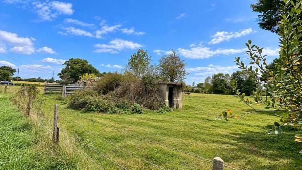 Vente                                                      Terrain
                        
                                         9408 m2                     à Épaignes