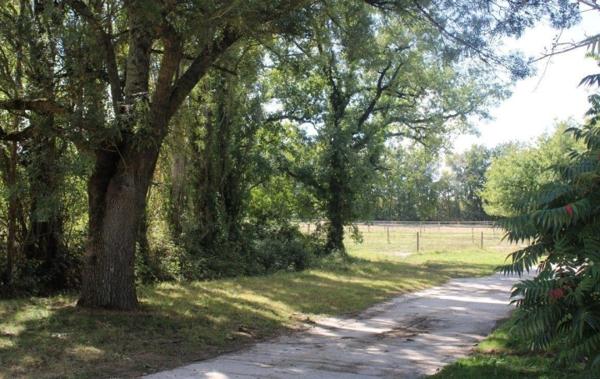 Vente Propriété équestre Fleurance   