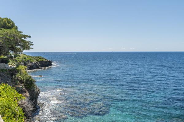 Vente Maison de maître Cap-d'Ail 12 Pièces 390 m²