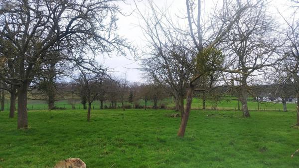 Terrain à Batir à vendre à Valdallière dans le Calvados (14410), ref : V890-VIES