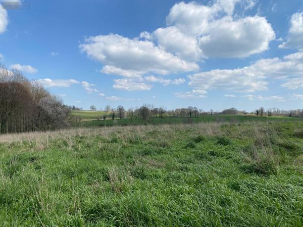 Maison à vendre à Louvigné-du-Désert en Ille-et-Vilaine (35420), ref : 135/1