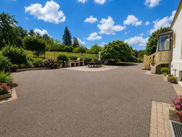 Propriete à vendre 9 pièces MIRECOURT (88) PROPRIÉTÉ D'EXCEPTION avec PISCINE sur TERRAIN clos et arboré de + de 6.500 m2