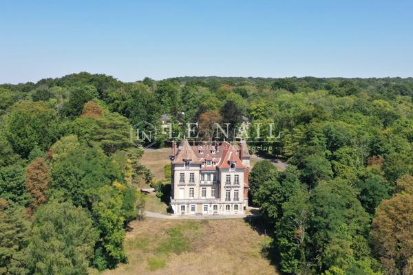 Château à vendre en Seine-et-Marne