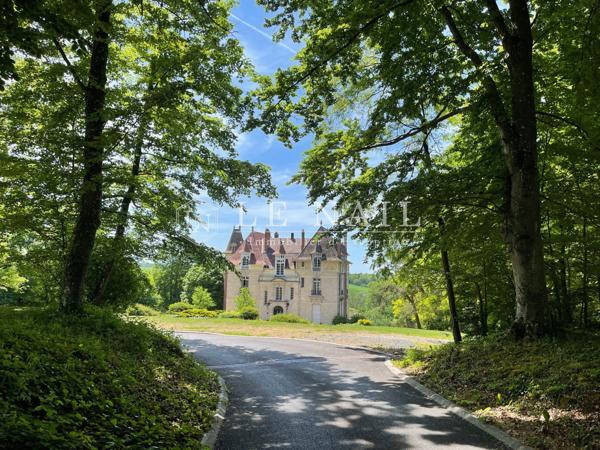 Château à vendre en Seine-et-Marne