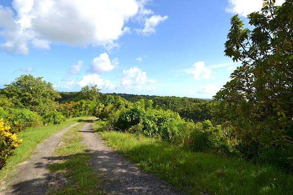 Gosier (97190) Propriété de 28270m2 avec maison à rénover