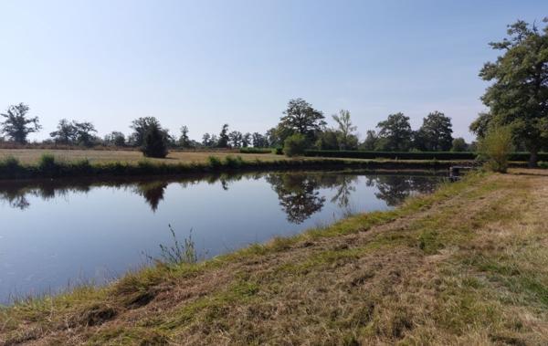 Vente Terrain De loisirs Gouzon   