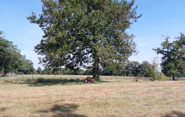 Vente Terrain De loisirs Gouzon   