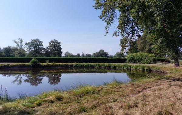 Vente Terrain De loisirs Gouzon   